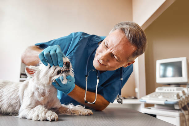 Best Broken Tooth Emergency  in Swartz, LA